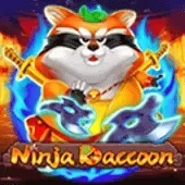 Mapache ninja cover